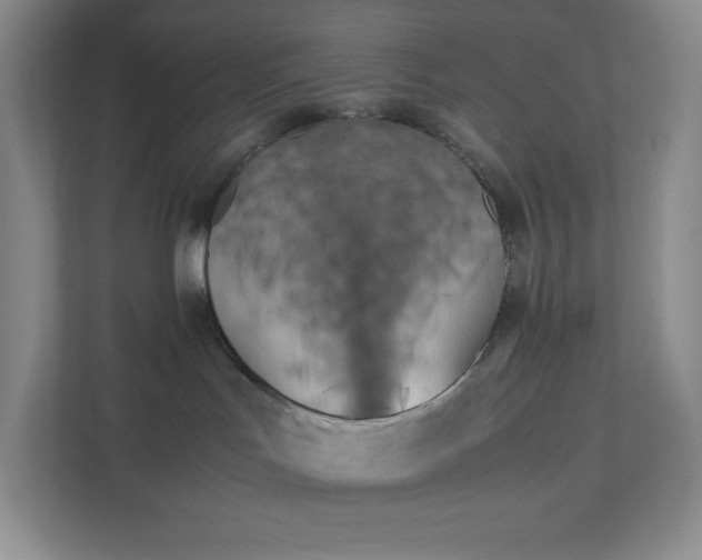 X0000111500047200907211039