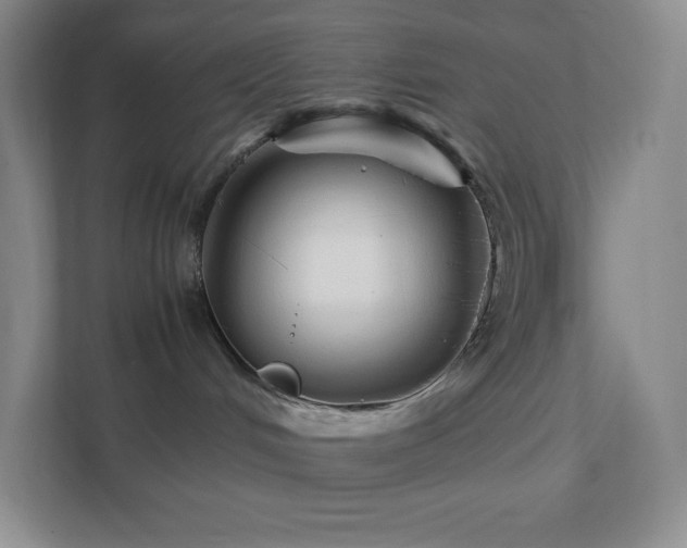 X0000111500048200907211039