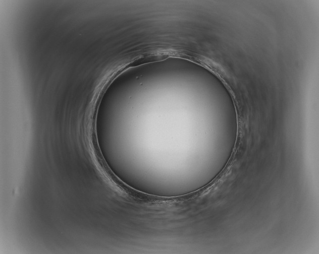 X0000111500049200907211039