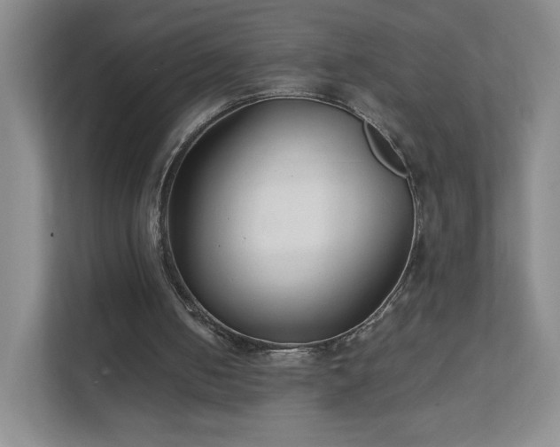 X0000111500050200907211039