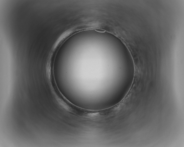 X0000111500054200907211039