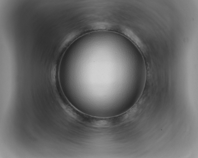 X0000111500058200907211039