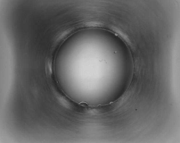 X0000111500062200907211039