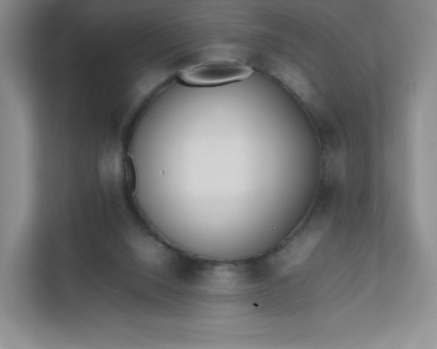 X0000111500064200907211039