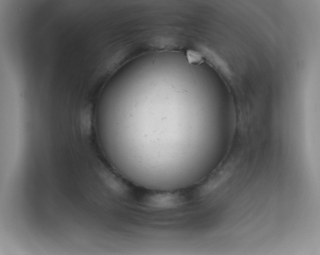 X0000111500065200907211039