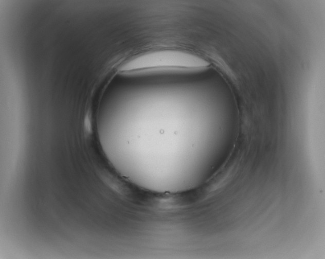 X0000111500068200907211039