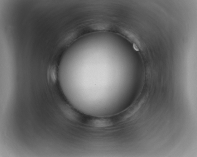 X0000111500069200907211039