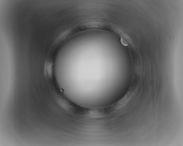 X0000111500070200907211039