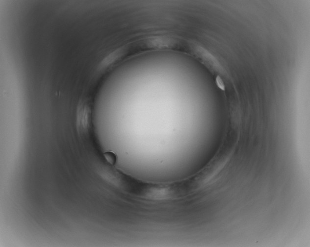 X0000111500071200907211039