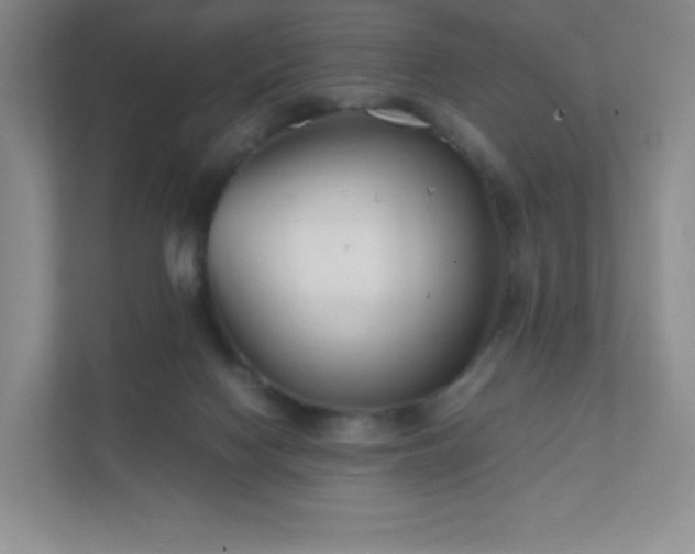 X0000111500074200907211039