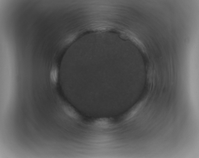 X0000111500076200907211039