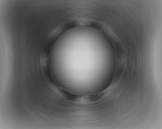 X0000111500078200907211039