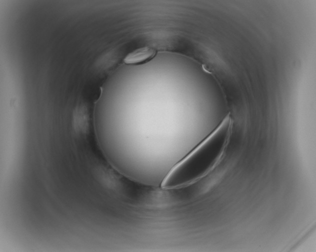 X0000111500080200907211039