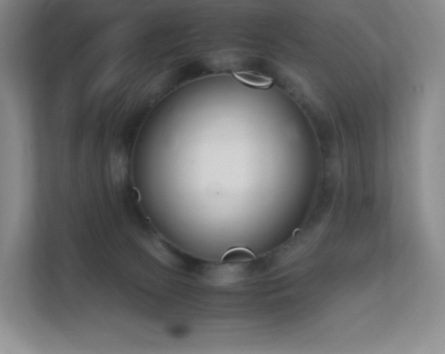 X0000111500081200907211039