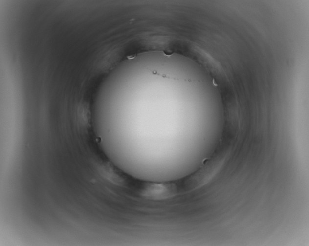 X0000111500083200907211039