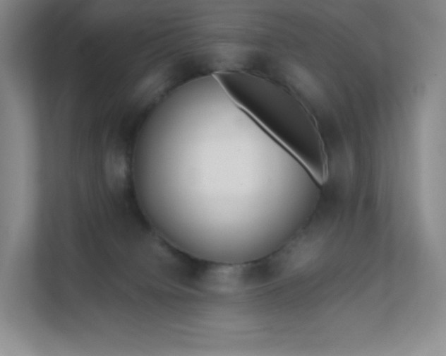 X0000111500084200907211039