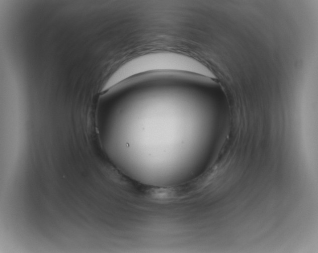 X0000111500088200907211039