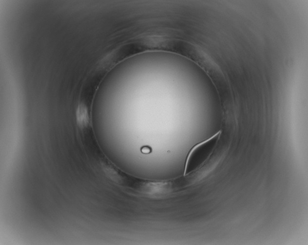 X0000111500089200907211039