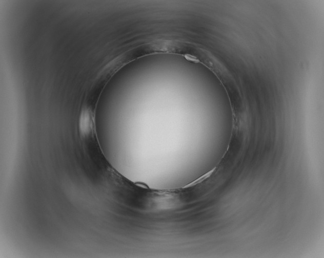 X0000111500095200907211039