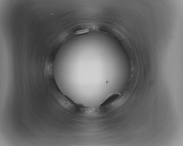 X0000111500096200907211039