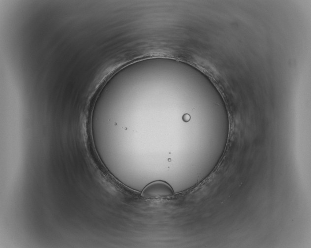 X0000111500098200907211039