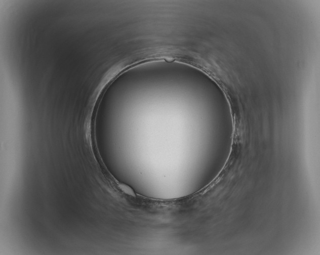 X0000111500099200907211039