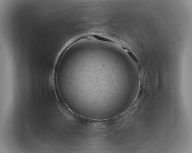 X0000111500100200907211039