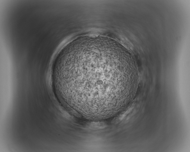 X0000111500101200907211039