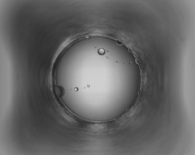 X0000111500102200907211039