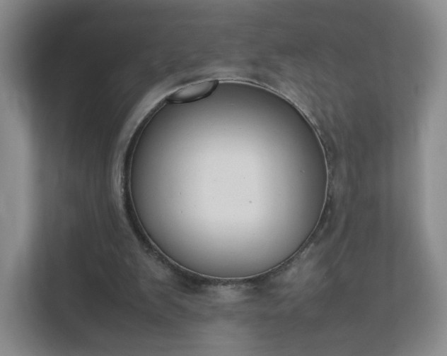 X0000111500103200907211039