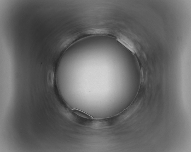 X0000111500109200907211039