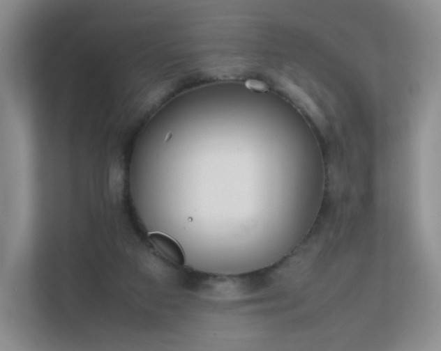 X0000111500113200907211038