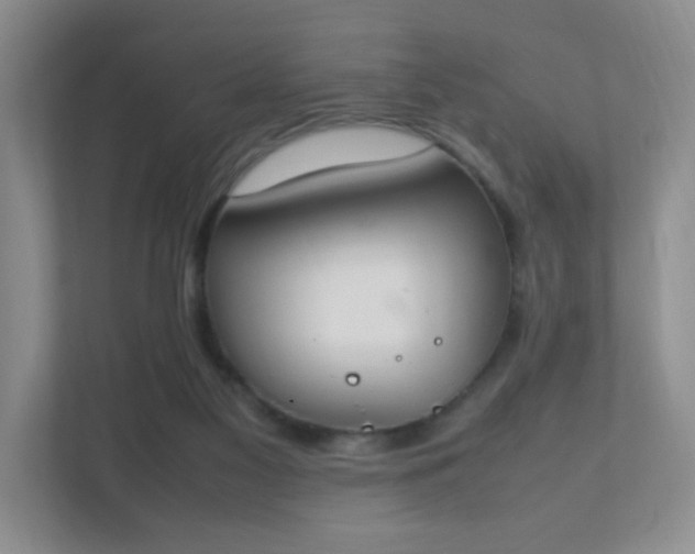 X0000111500117200907211038