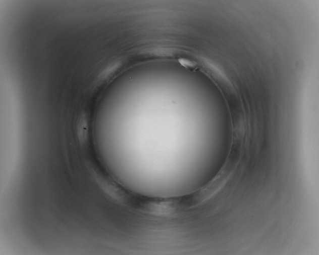 X0000111500120200907211038