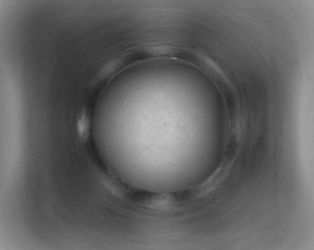 X0000111500124200907211038