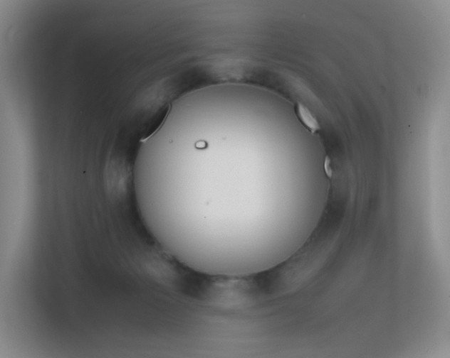 X0000111500125200907211038