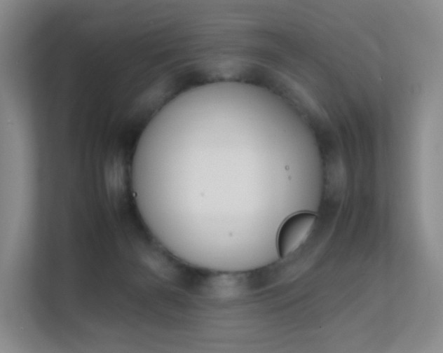 X0000111500126200907211038