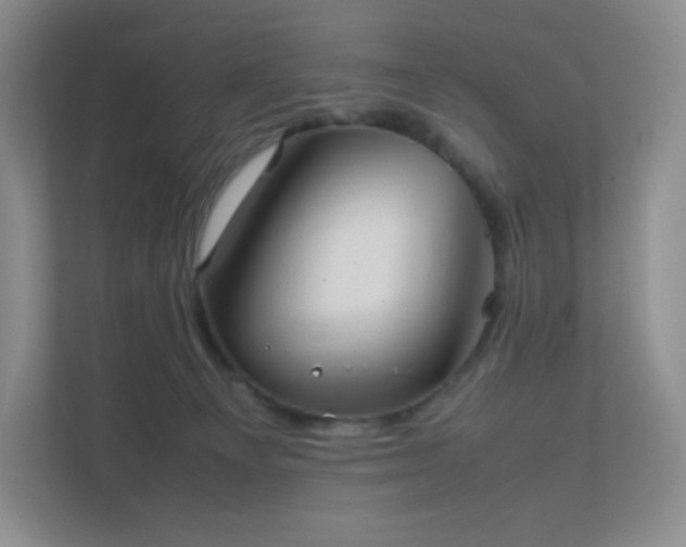 X0000111500129200907211038