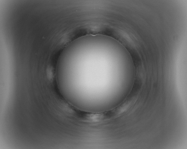 X0000111500135200907211038