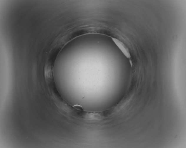 X0000111500137200907211038