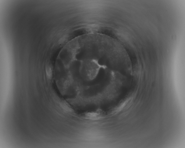 X0000111500139200907211038