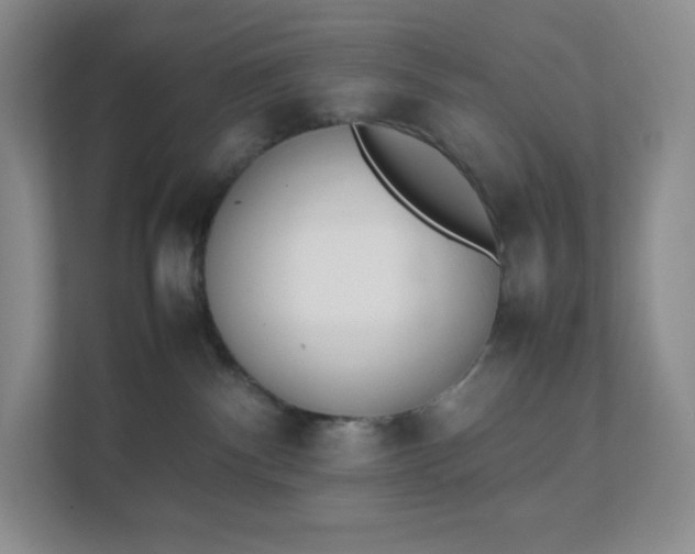 X0000111500140200907211038