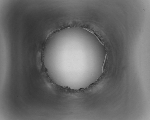 X0000111500144200907211038