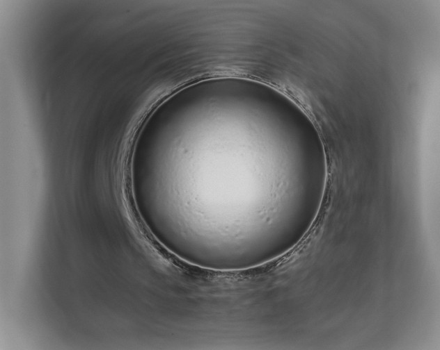 X0000111500145200907211037