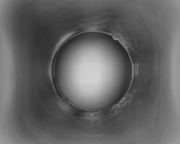 X0000111500147200907211037