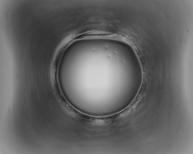 X0000111500149200907211038