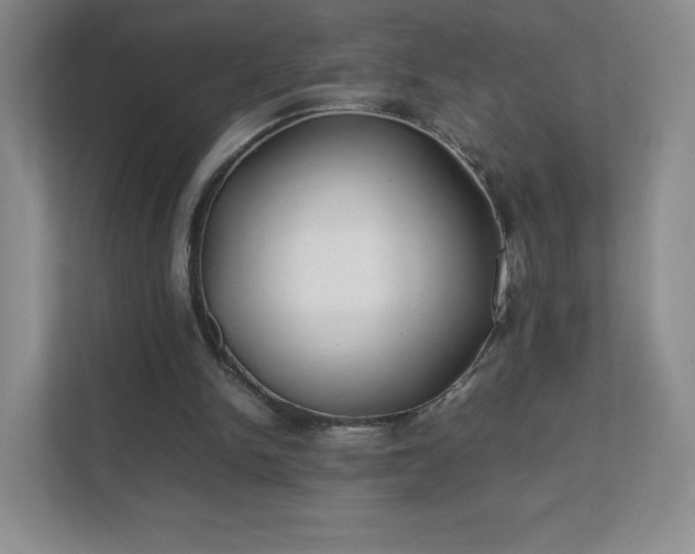 X0000111500150200907211038