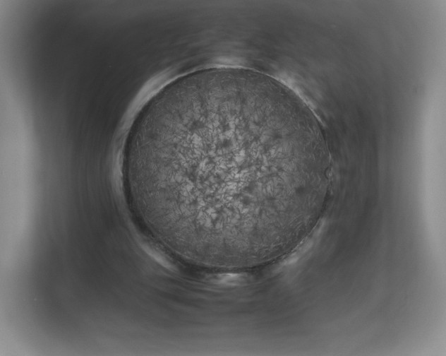 X0000111500151200907211038
