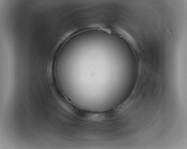 X0000111500155200907211038