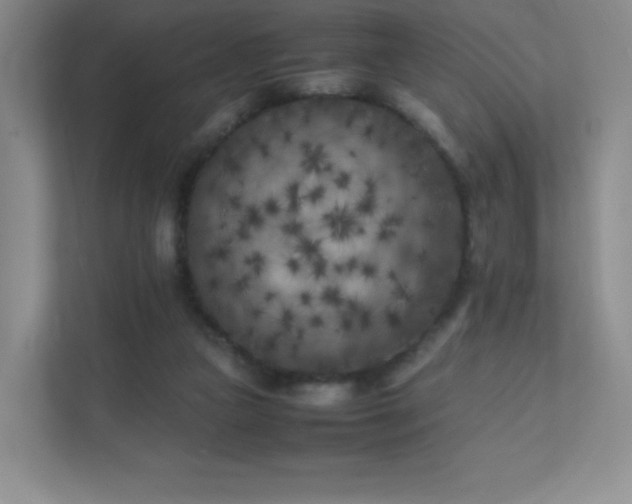 X0000111500161200907211038
